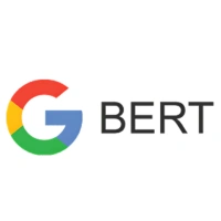 Google's Bidirectional Encoder Representations from Transformers library logo used in edu plus now`s Data Science course