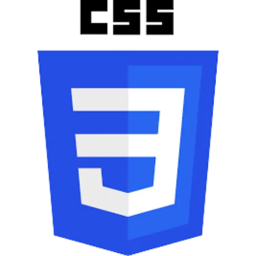cascading Style Sheet logo used in edu plus now`s Data Science course 
